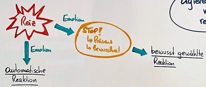 Reiz - Emotion - Reaktion