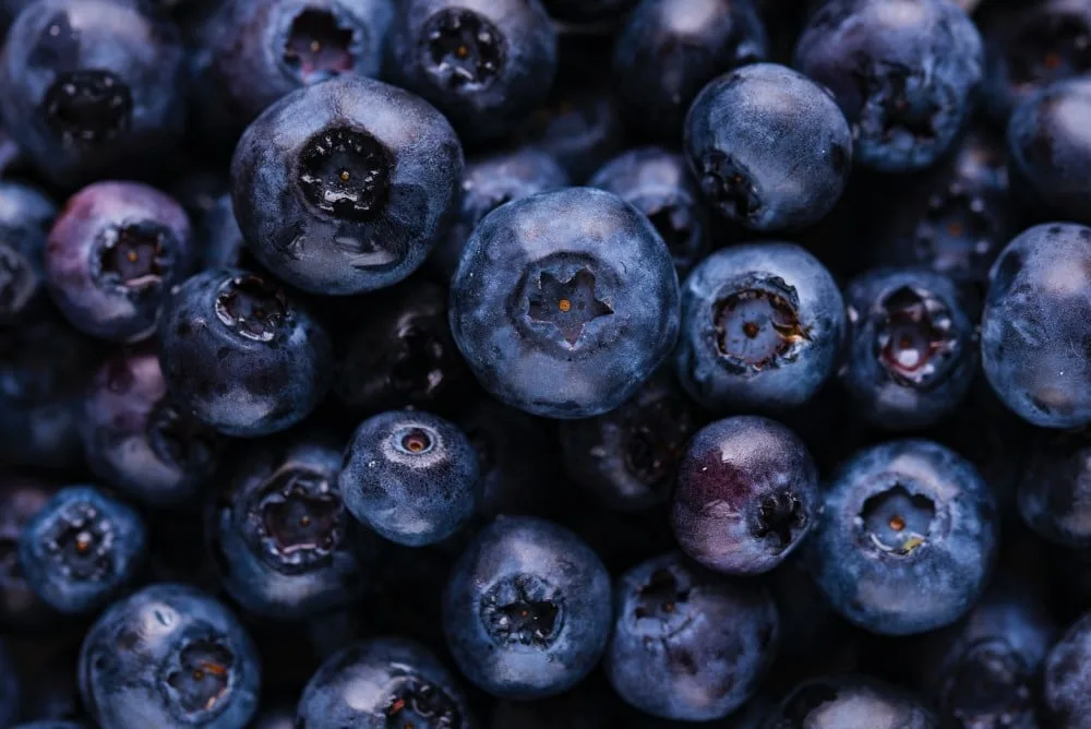 Heidelbeeren | Superfood