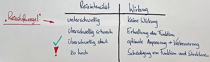 Reizstufenregel