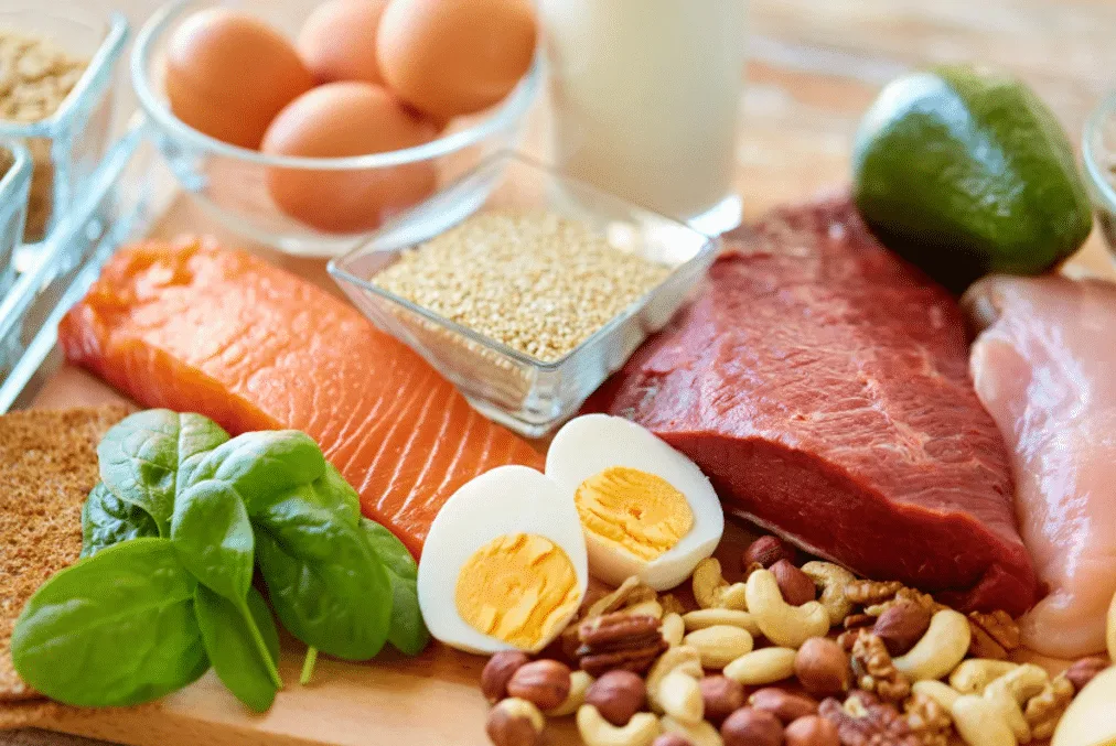 gesunde-ernährung-proteinreich-roc-sports-bio-sportnahrung-chris-the-roc