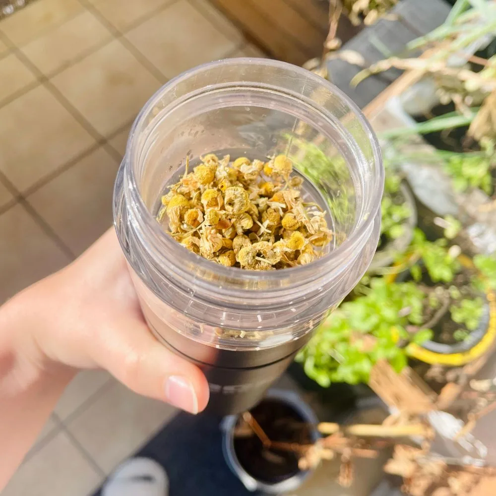 Tea-ROC Bottle - Zubereitung