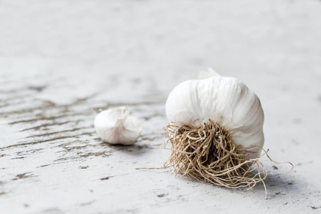 Knoblauch | Superfood